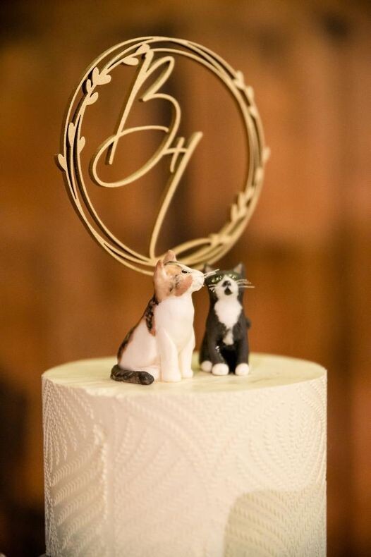 Fondant or Clay - Pet Cake topper Personalised  Figure