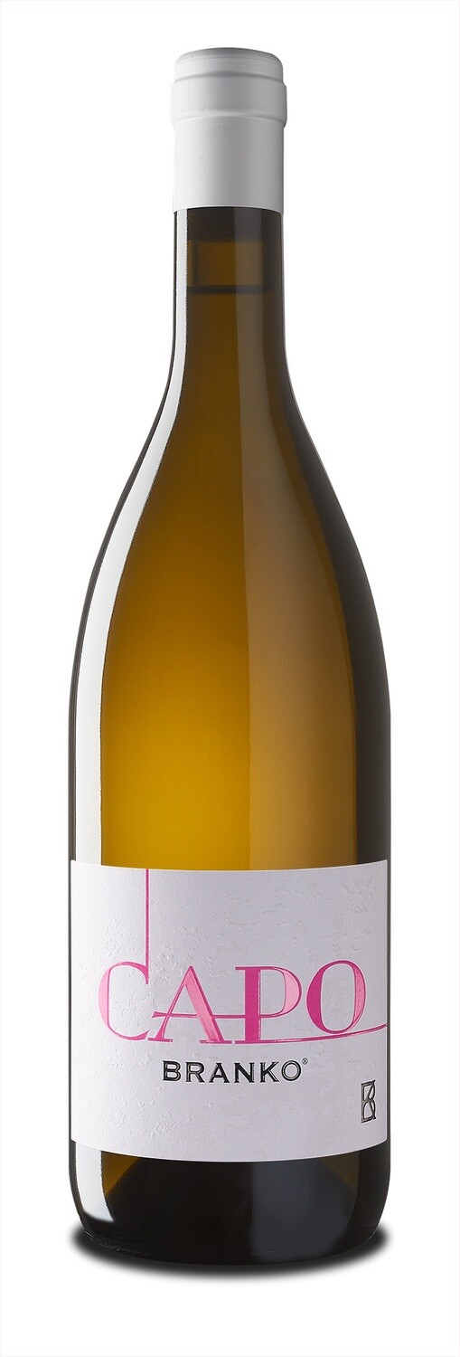 Branko Capo Vino Bianco -  IGT 2023