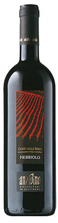 NEBBIOLO Coste Della Sesia DOC 2017 Rotwein