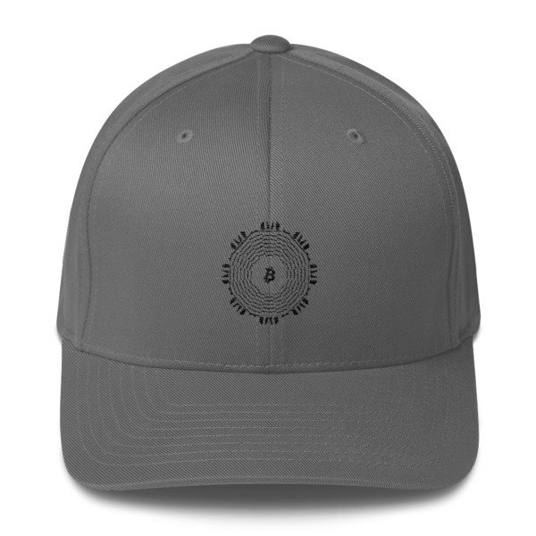 BITCOIN in FULL BLOOM - (FLEXFIT CAP), Color: Grey, Size: S/M