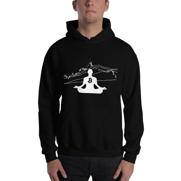 BITCOIN in the FLOW - (HOODIE)