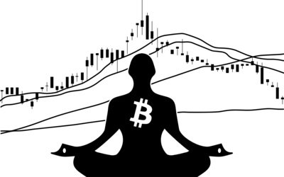 BITCOIN in the FLOW