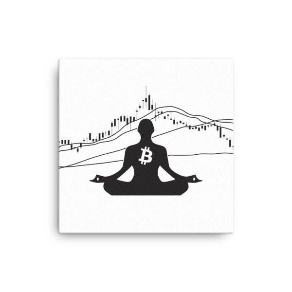 BITCOIN in the FLOW - (CANVAS), Size: 12×12