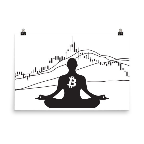 BITCOIN in the FLOW - (POSTER)