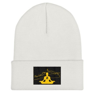 BITCOIN in the FLOW - (BEANIE)