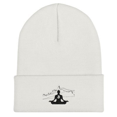 BITCOIN in the FLOW - (BEANIE)