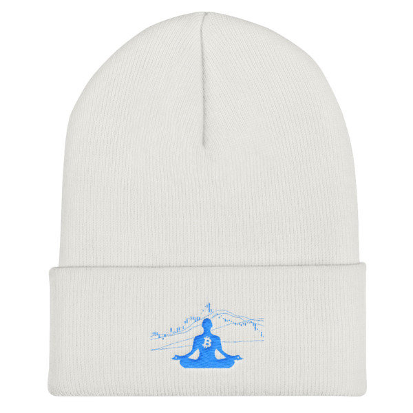 BITCOIN in the FLOW - (BEANIE)