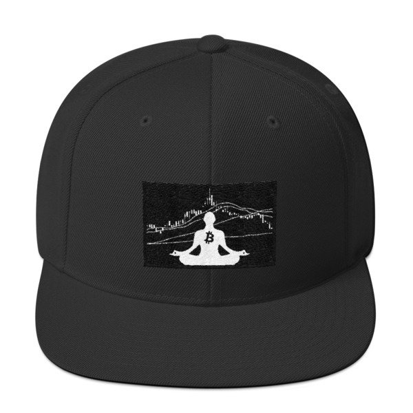 BITCOIN in the FLOW - (SNAPBACK HAT)