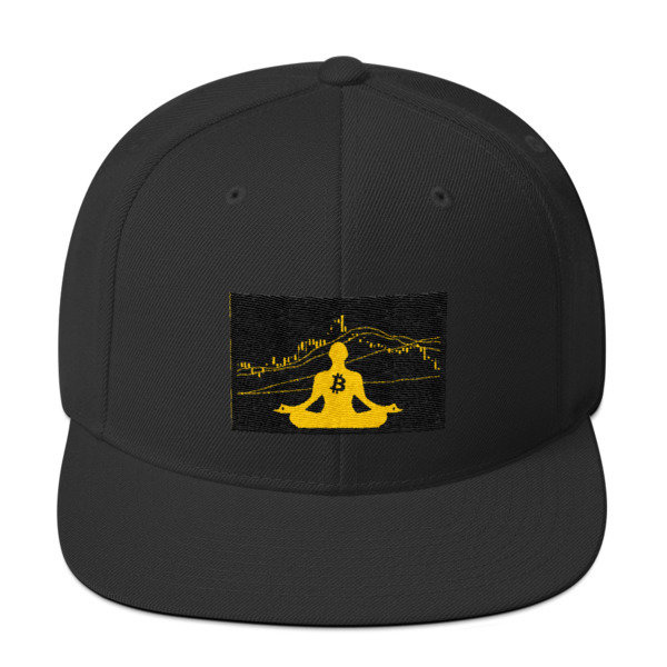 BITCOIN in the FLOW - (SNAPBACK HAT)