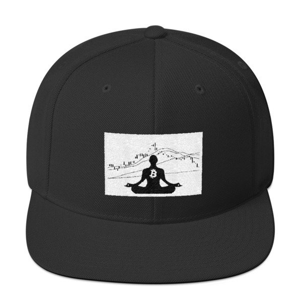 BITCOIN in the FLOW - (SNAPBACK HAT)