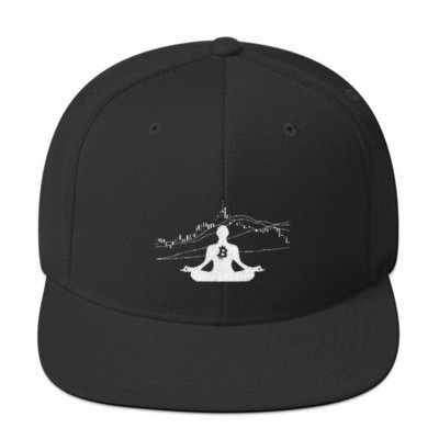 BITCOIN in the FLOW - (SNAPBACK HAT)