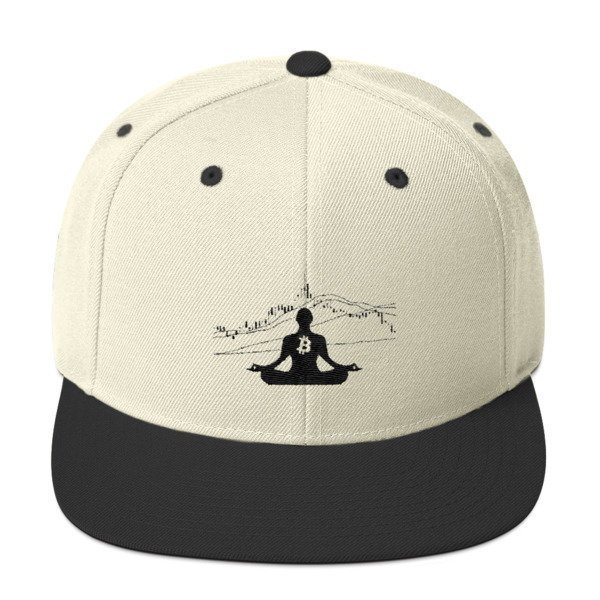 BITCOIN in the FLOW - (SNAPBACK HAT)