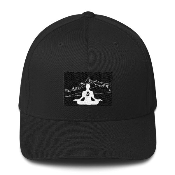 BITCOIN in the FLOW - (FLEXFIT CAP), Color: Black, Size: S/M