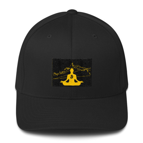 BITCOIN in the FLOW - (FLEXFIT CAP)