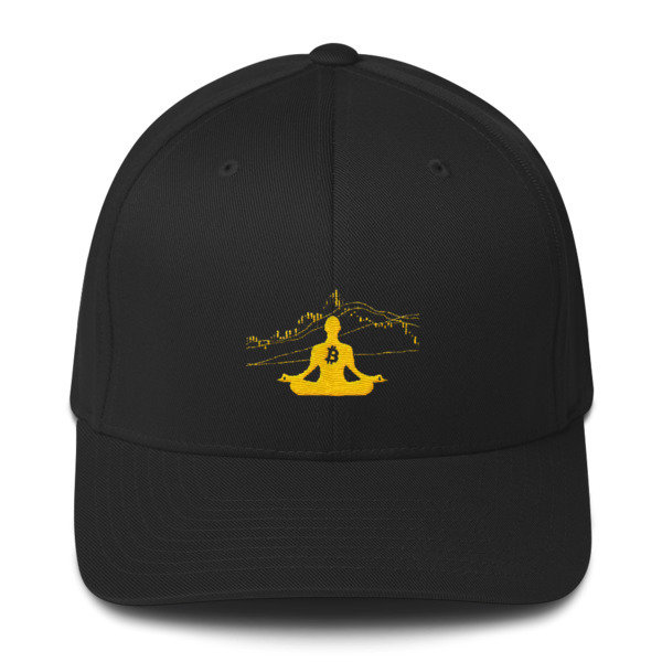 BITCOIN in the FLOW - (FLEXFIT CAP), Color: Black, Size: S/M