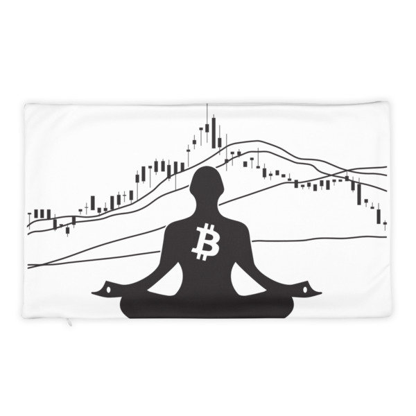 BITCOIN in the FLOW - (PILLOW CASE)