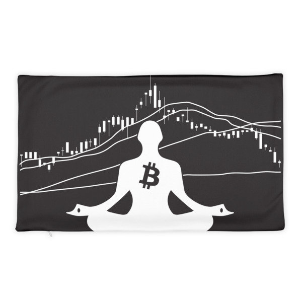 BITCOIN in the FLOW - (PILLOW CASE)