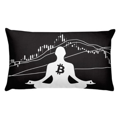BITCOIN in the FLOW - (PILLOW)