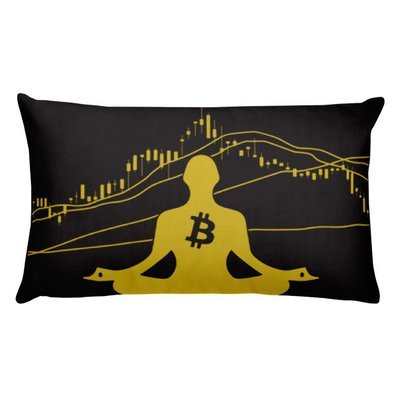 BITCOIN in the FLOW - (PILLOW)