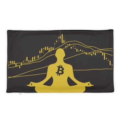 BITCOIN in the FLOW - (PILLOW CASE)