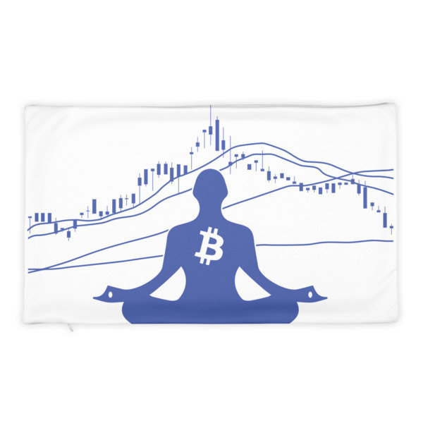 BITCOIN in the FLOW - (PILLOW CASE)