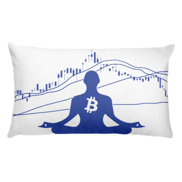 BITCOIN in the FLOW - (PILLOW)