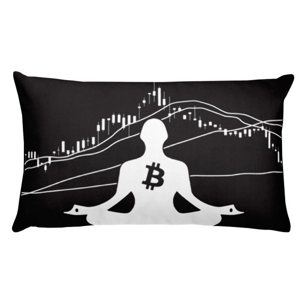 BITCOIN in the FLOW - (PILLOW)
