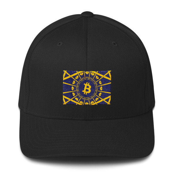 BITCOIN in the GLOW - (FLEXFIT CAP), Color: Black, Size: S/M