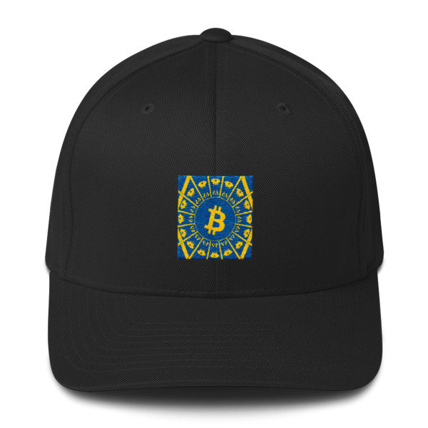 BITCOIN in the GLOW - (FLEXFIT CAP)