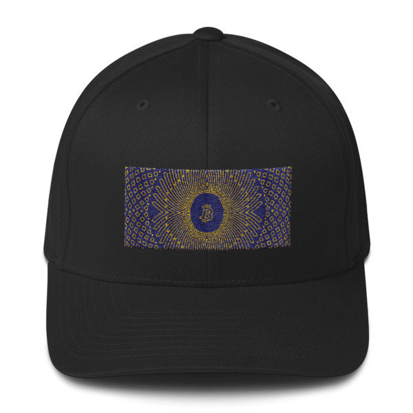 BITCOIN in GRIM DARKNESS - (FLEXFIT CAP), Color: Black, Size: S/M