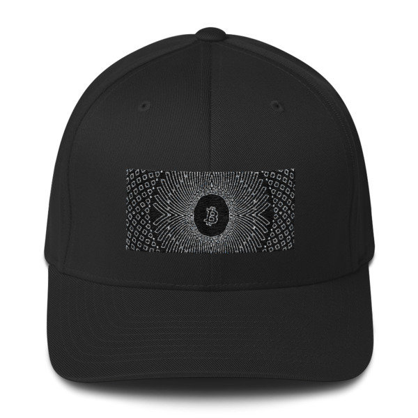 BITCOIN in GRIM DARKNESS - (FLEXFIT CAP), Color: Black, Size: S/M
