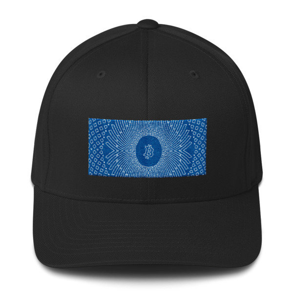 BITCOIN in GRIM DARKNESS - (FLEXFIT CAP)