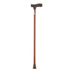 cane-bronze