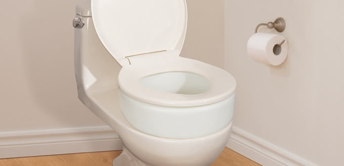 toilet seat elevator/standard