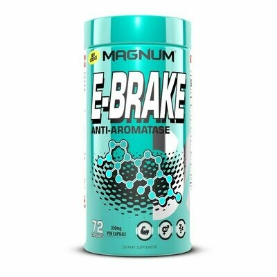 Magnum E-Brake