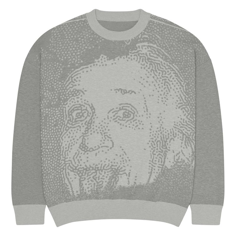 Einstein knitted crew neck sweater