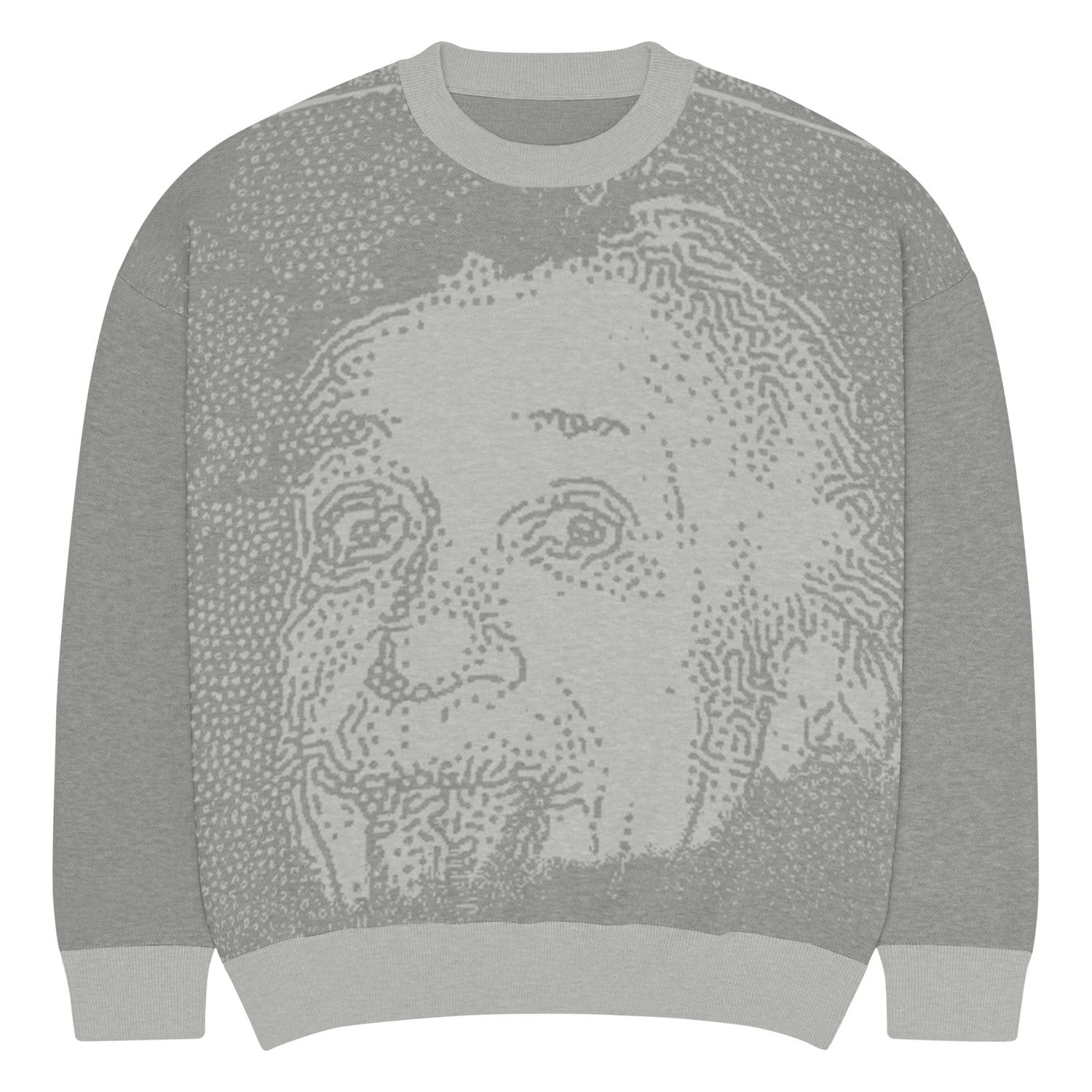 Einstein knitted crew neck sweater