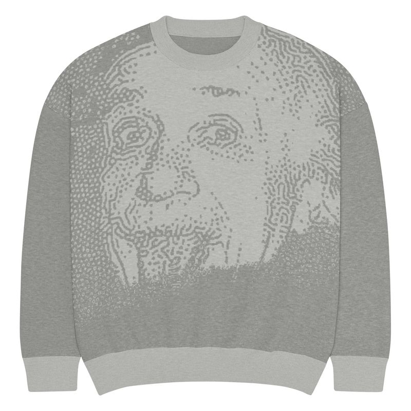 Doe Jones Einstein Jacquard Knit Crewneck Sweater - product view 2