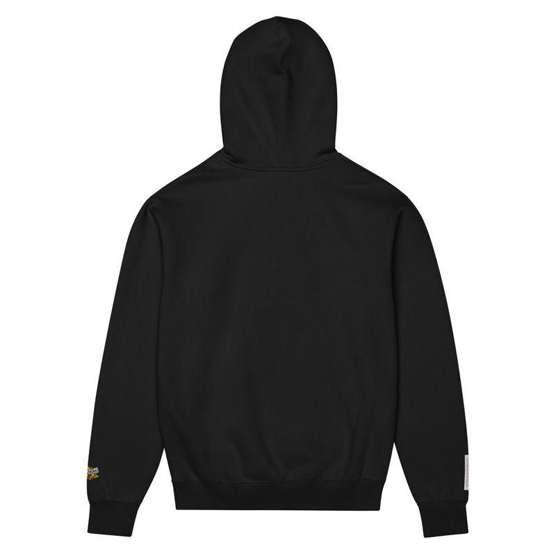 Doe Jones Fortunate Series Embroidered Fleece Hoodie - product view 2