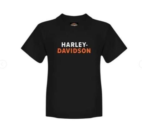 Harley-Davidson Youth &#39;Stacked Name&#39; T-Shirt R0047813