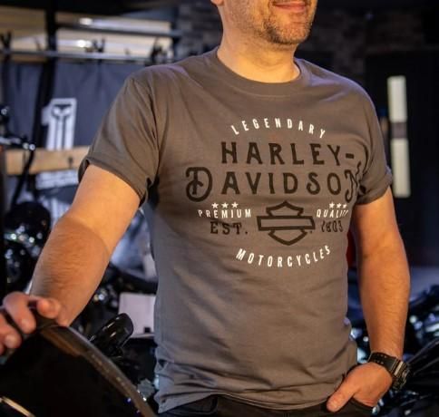 Harley-Davidson &#39;Flagged&#39; Men&#39;s Dealer T-Shirt 3001711-SMGY-MD