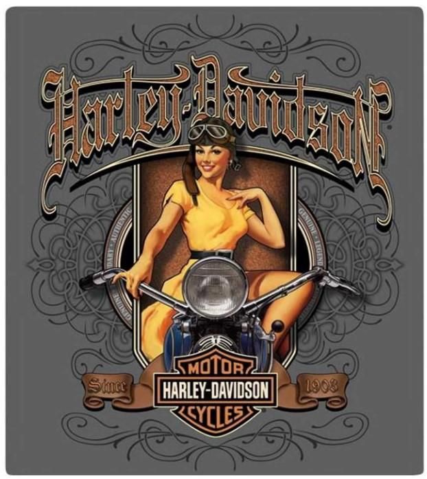 Harley-Davidson Old Scroll Babe Tin Sign 2010591