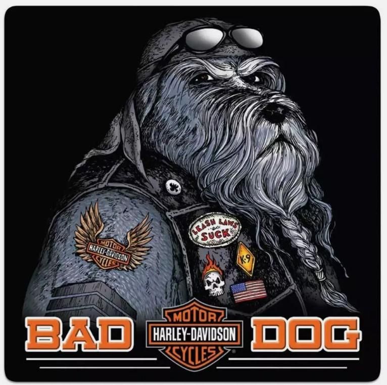 Harley-Davidson Bad Dog Bar &amp; Shield Embossed Tin Sign, 14.5 x 14.5 inch 2011791