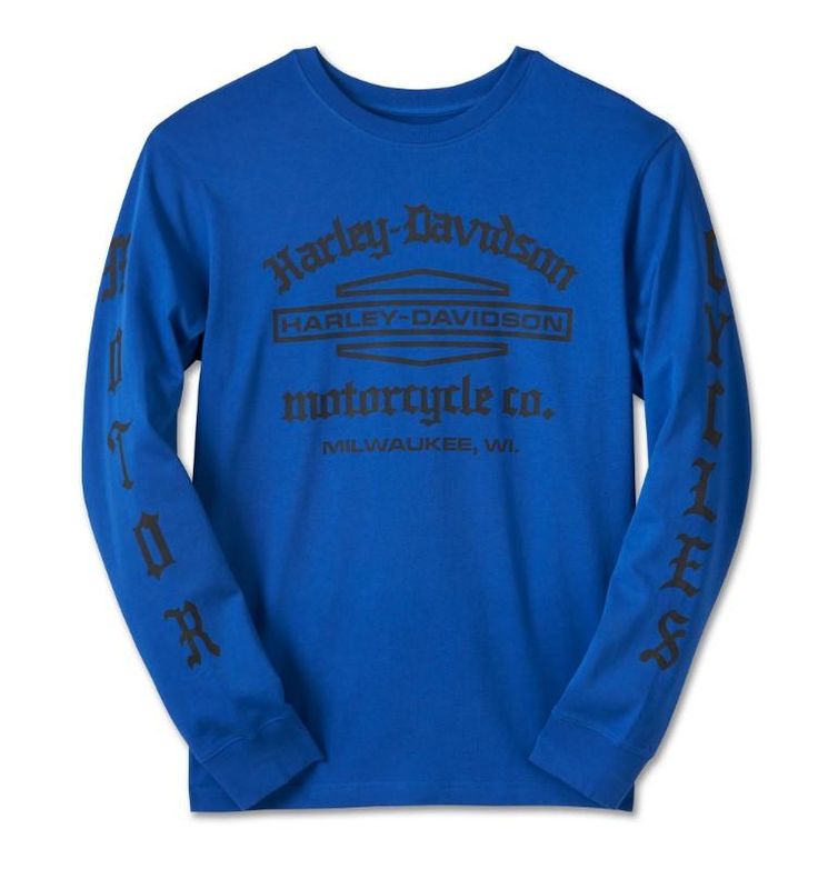Harley-Davidson Men&#39;s Old English Stacked Bar &amp; Shield Tee - Surf the Web 96020-25VM