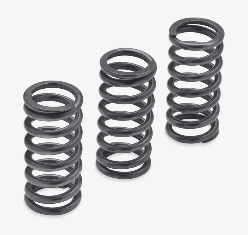 Harley-Davidson Milwaukee-Eight Engine Clutch Springs - 1275N