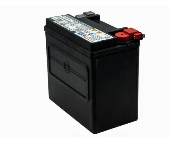 Harley-Davidson AGM Battery 66000483