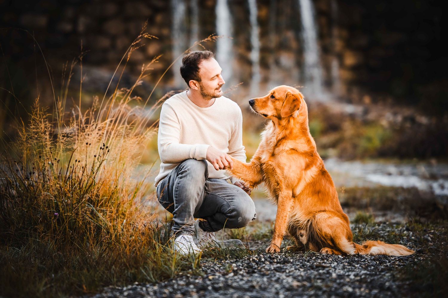 Vertiefung &amp; Praxis Tierkommunikation