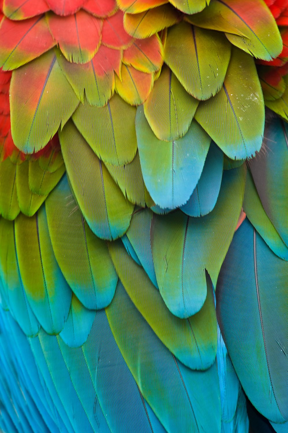 Die Heilkraft der Farben