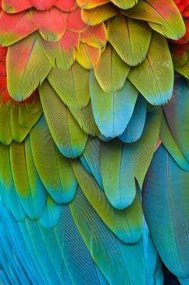 Die Heilkraft der Farben