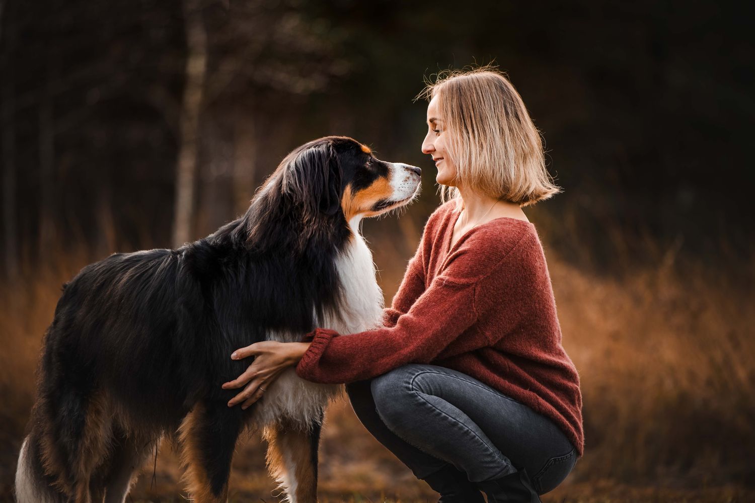 Online Basiskurs Tierkommunikation